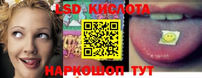 прущие грибы Кимры