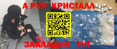 мет Кингисепп
