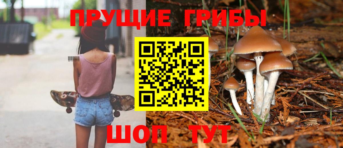 Галлюциногенные грибы Magic Shrooms  Вход с VPN  Корсаков 