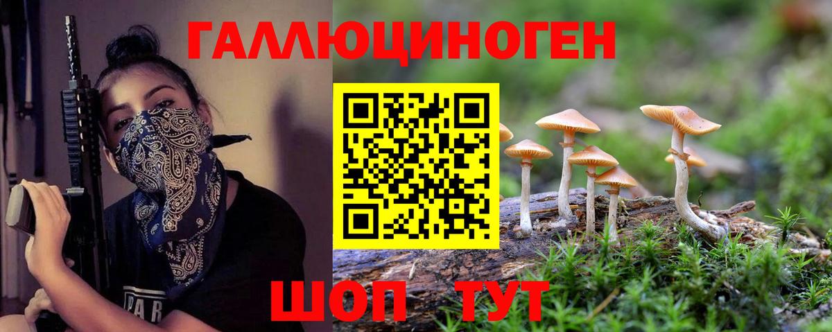 Псилоцибиновые грибы Psilocybe Корсаков